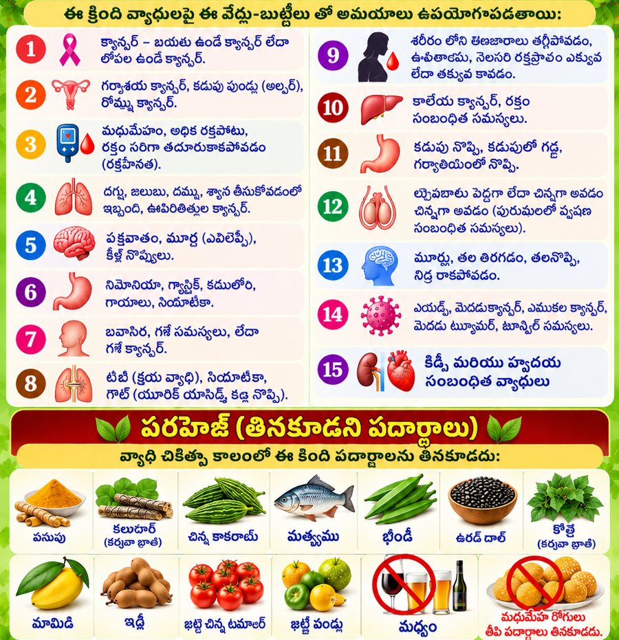 Illustrated Telugu poster listing the same fifteen groups of illnesses and the same dietary restrictions